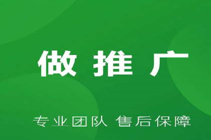 某电商平台的SEM广告投放策略及效果评估